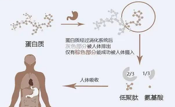 選擇離心濃縮儀時(shí)應(yīng)該注意哪些事項(xiàng)呢？